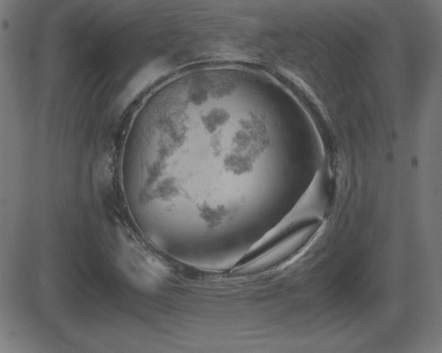 X0000081331163200701111351
