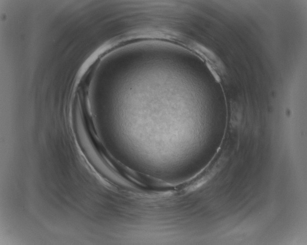 X0000081331188200701111351