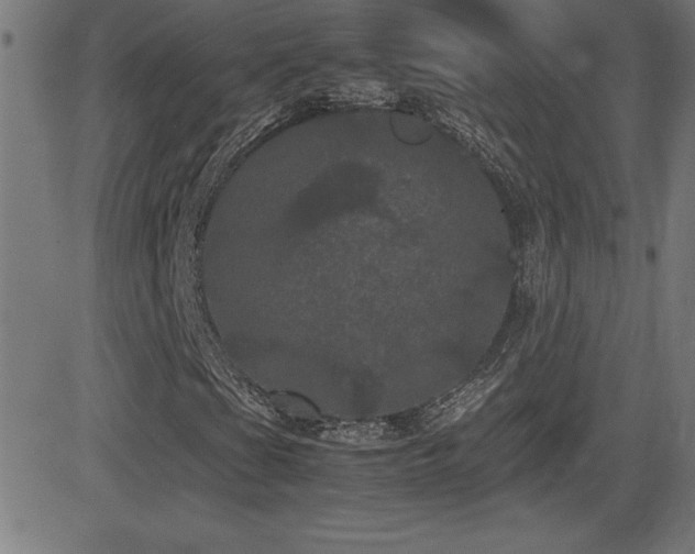 X0000081331201200701111350