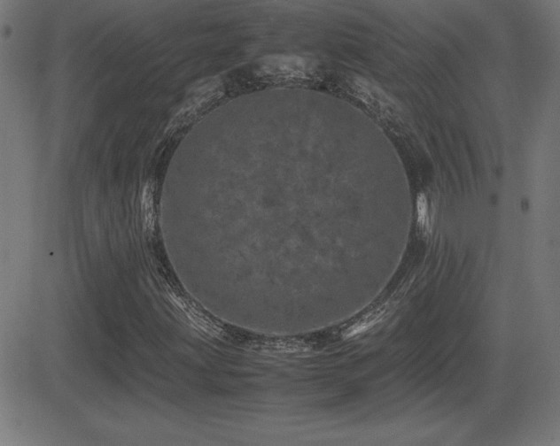 X0000081331203200701111350