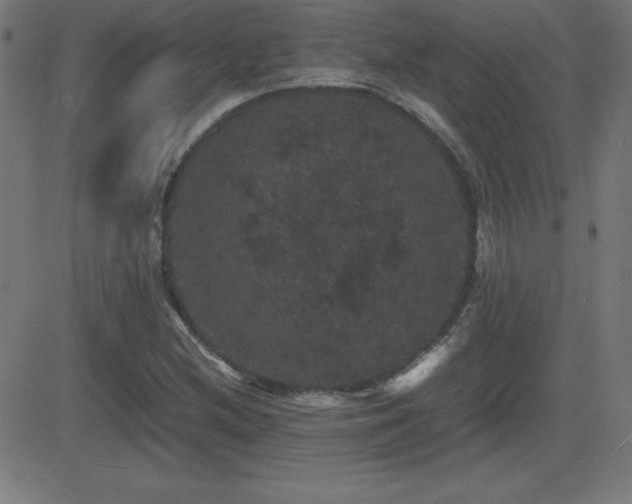 X0000081331212200701111350