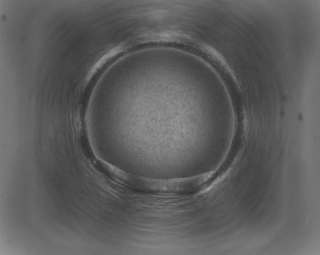 X0000081331218200701111350