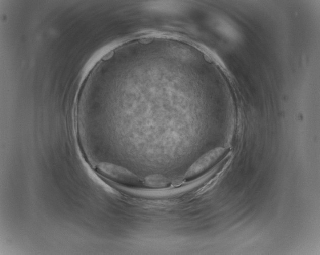X0000081331247200701111351
