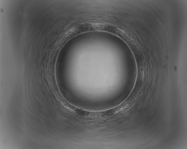 X0000081331249200701111350