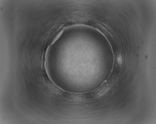 X0000081331252200701111350