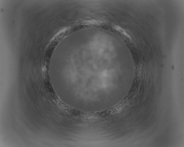 X0000081331254200701111350