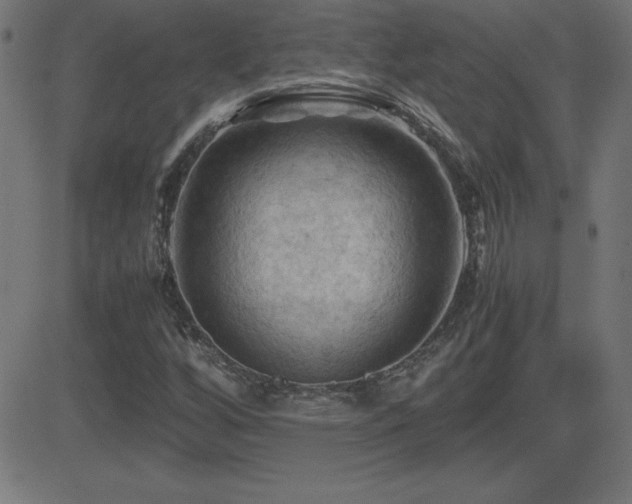 X0000081331256200701111350