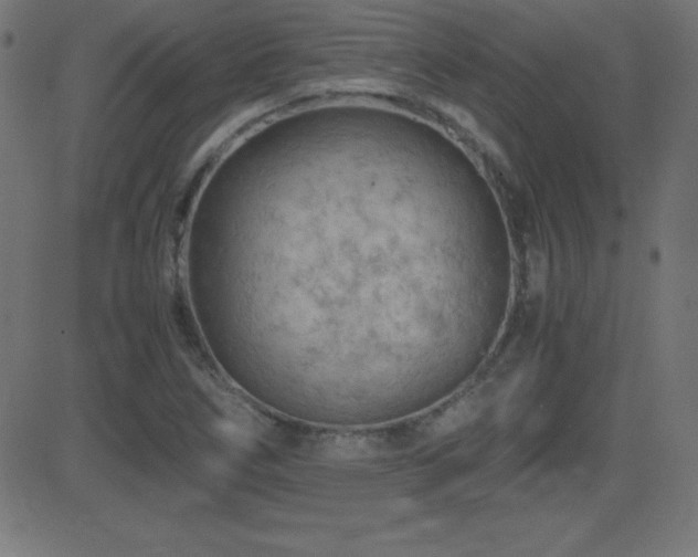 X0000081331266200701111350