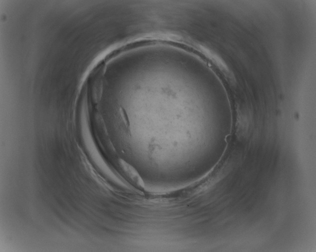X0000081331272200701111350
