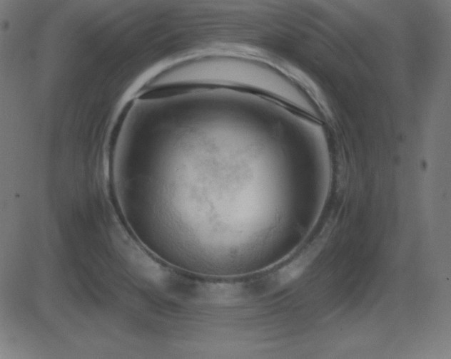 X0000081331280200701111349