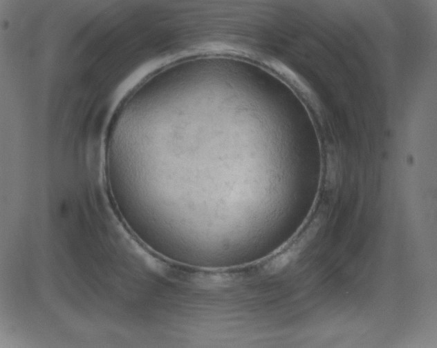 X0000081331286200701111349