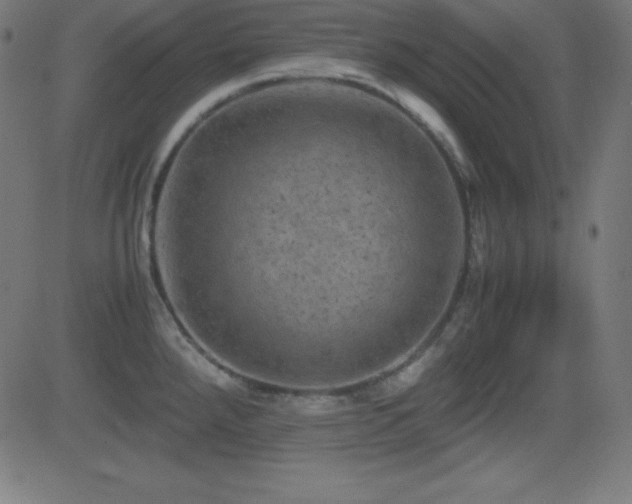 X0000081331288200701111349