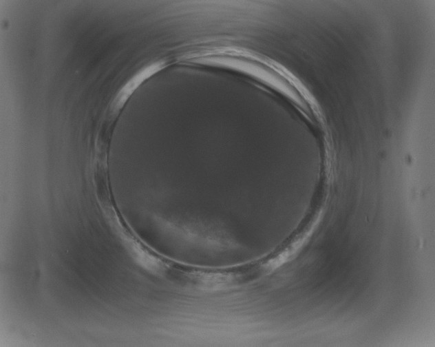 X0000081331289200701111349
