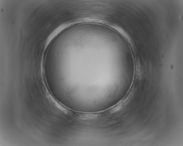 X0000081331294200701111349