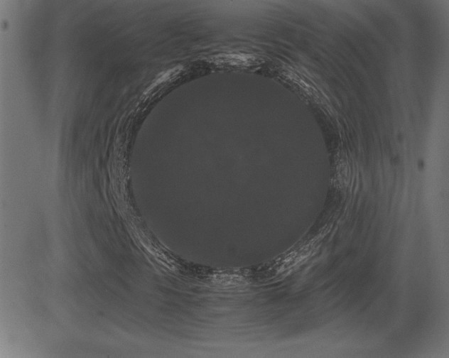 X0000081331297200701111348
