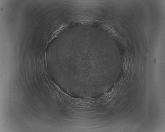 X0000081331298200701111348