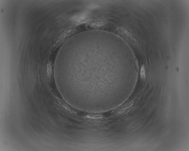 X0000081331299200701111348
