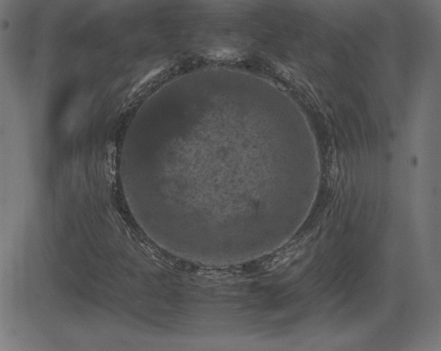 X0000081331301200701111348