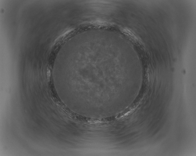 X0000081331302200701111348