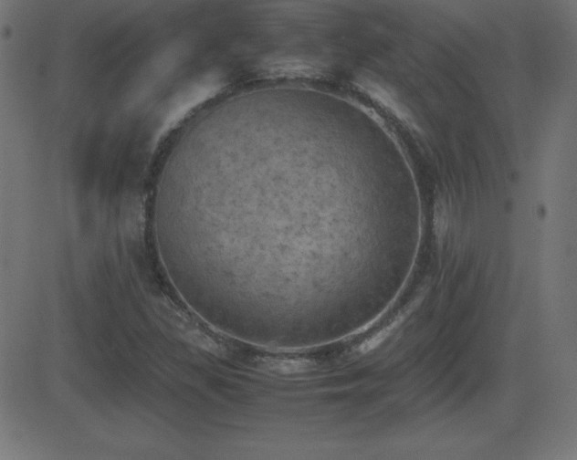 X0000081331309200701111349
