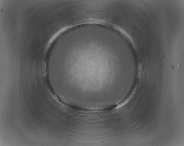X0000081331310200701111349