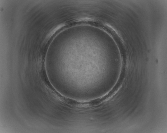 X0000081331313200701111349