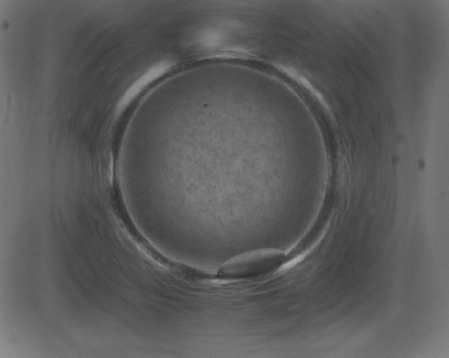X0000081331317200701111349