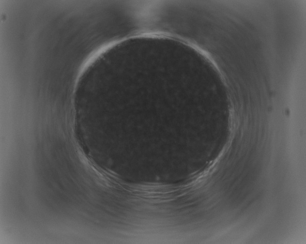 X0000081331319200701111349
