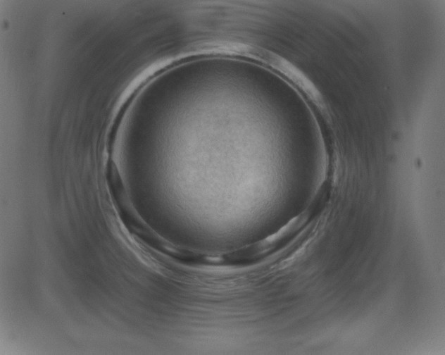X0000081331332200701111349