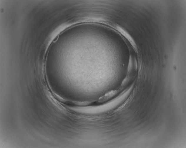 X0000081331340200701111349