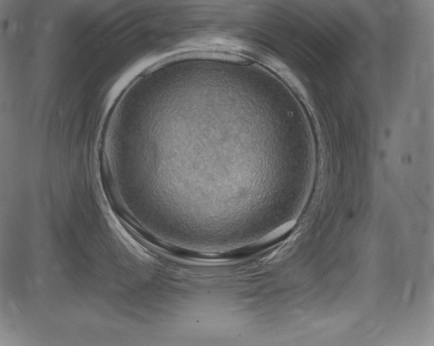 X0000081331344200701111349