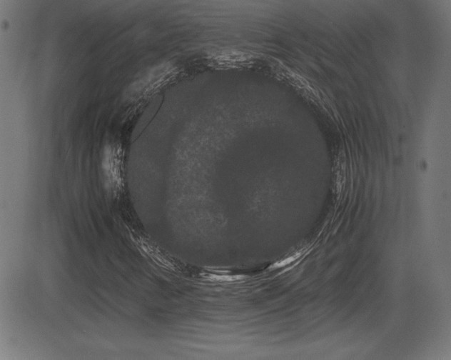 X0000081331346200701111348
