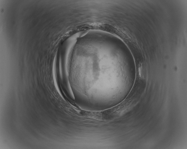 X0000081331347200701111348