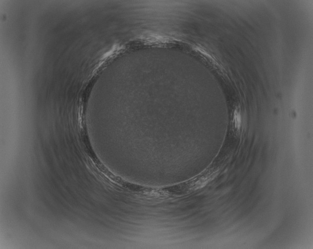 X0000081331348200701111348