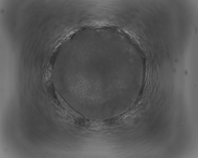 X0000081331349200701111348