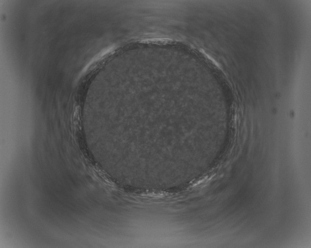 X0000081331351200701111348