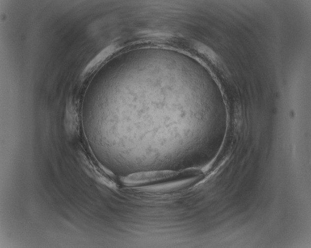 X0000081331354200701111348