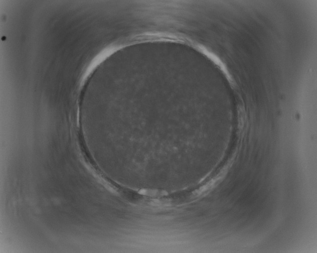 X0000081331365200701111348