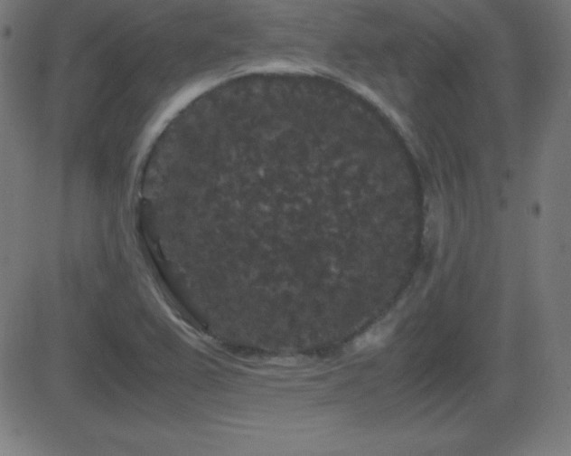 X0000081331367200701111348