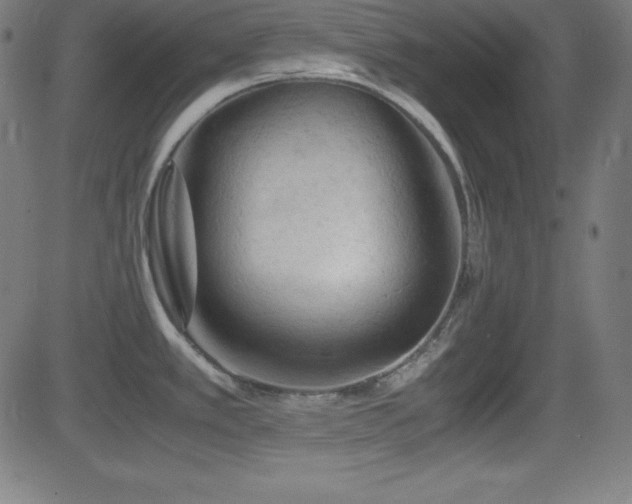 X0000081331389200701111348