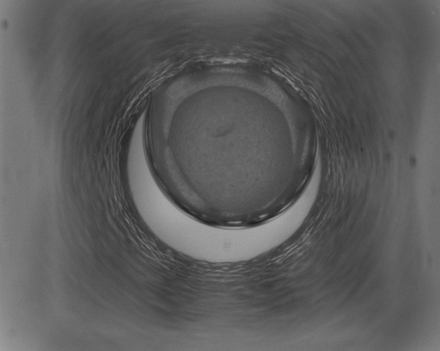 X0000081331393200701111347