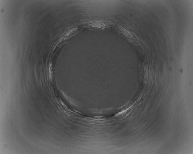 X0000081331394200701111347