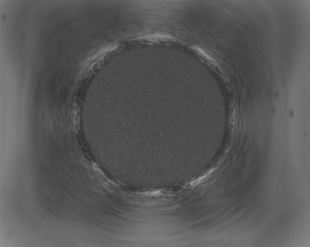 X0000081331398200701111347