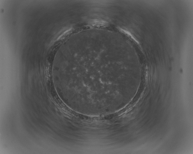 X0000081331399200701111347