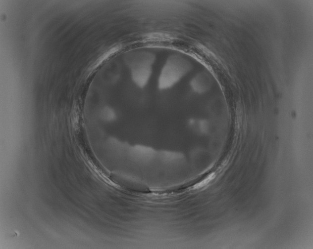 X0000081331401200701111347