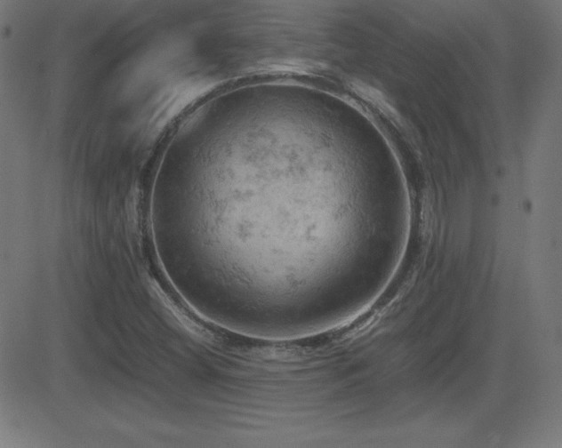 X0000081331404200701111347