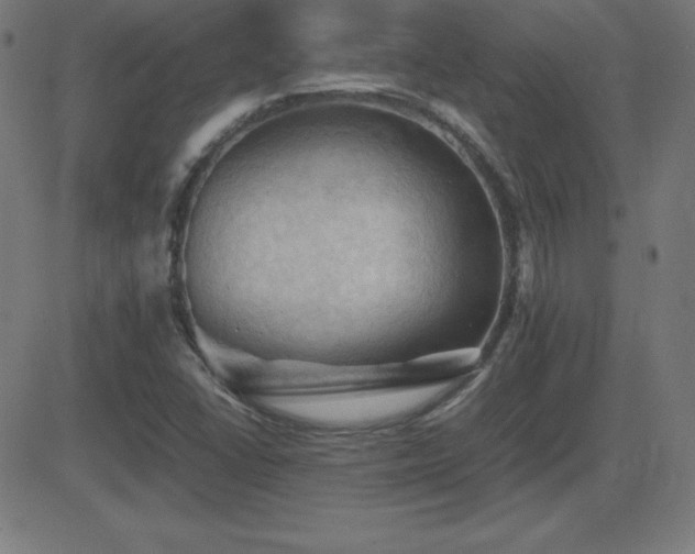 X0000081331406200701111347