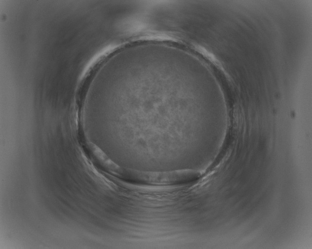 X0000081331408200701111347