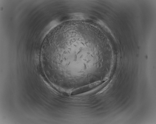 X0000081331409200701111347