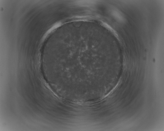 X0000081331411200701111347